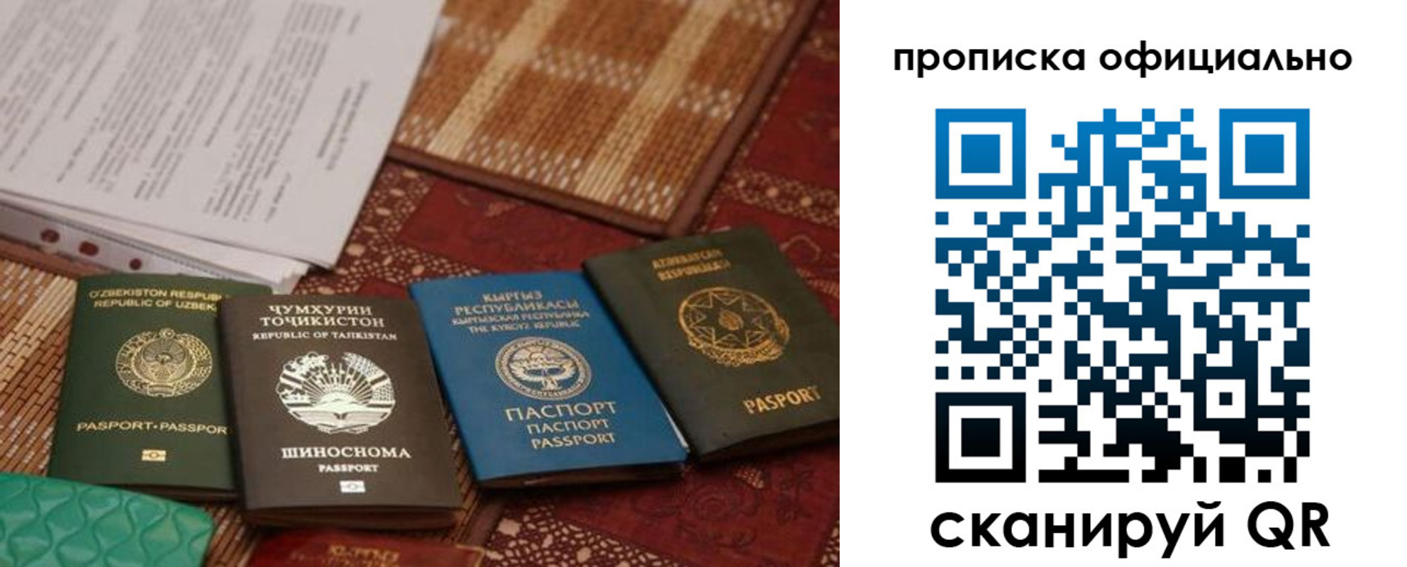 где прописаться в Новгородской области